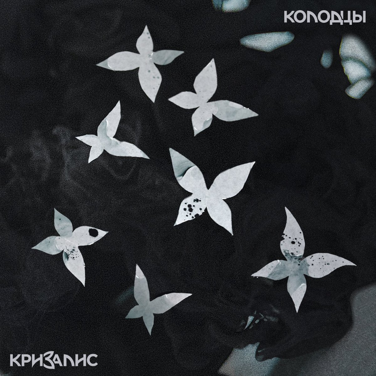 ПРЕМЬЕРА АЛЬБОМА!

КРИЗАЛИС – Колодцы

Слушать: zvonko.link/Kolodci