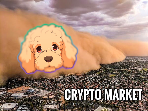 GopherSol's tweet photo. $GOPHER is ready to floor all over the crypto market. 🐶

#SOLANA $SOL #GOPHER https://t.co/LtAVNhppEI