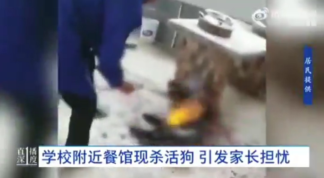 Live dog cooked alive by typical insane man in #China.