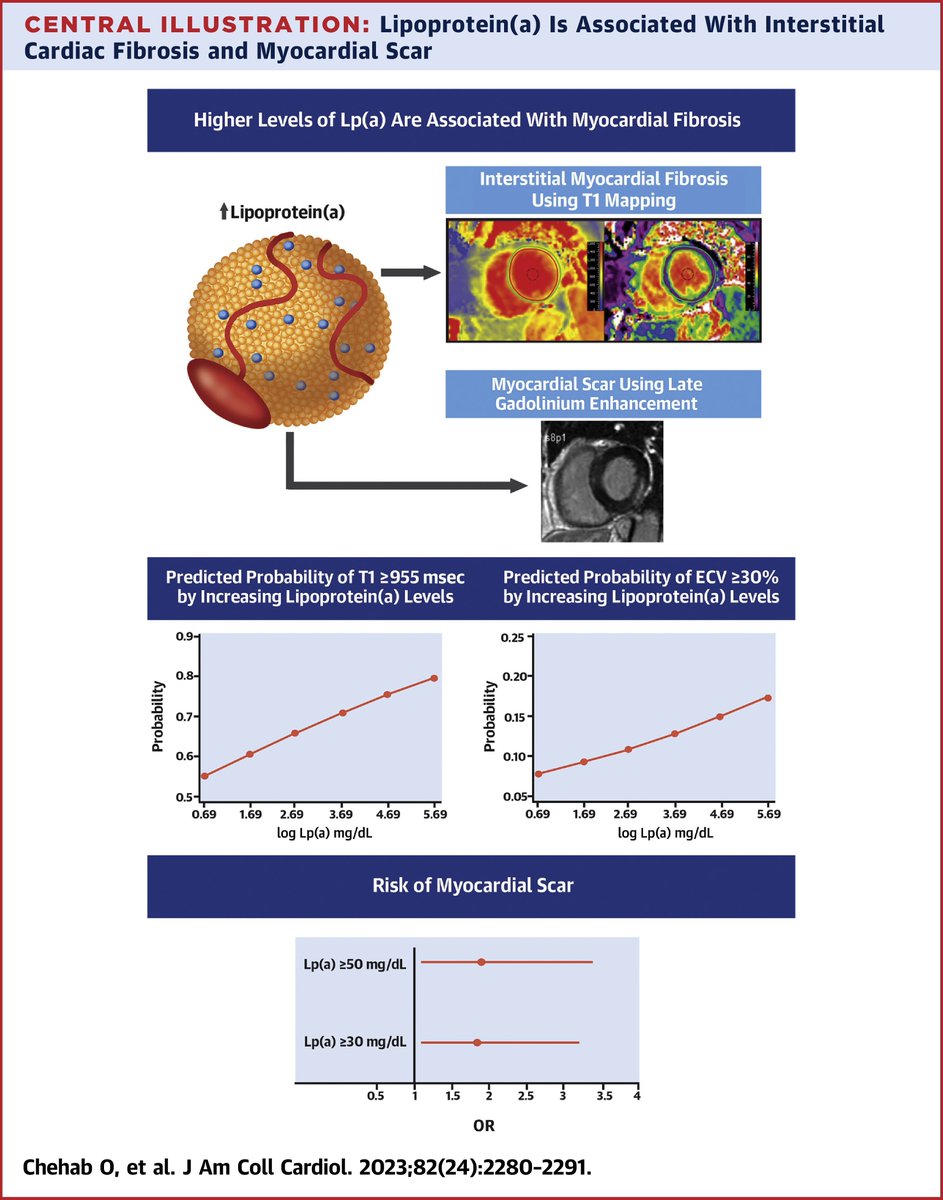 New study reveals that higher Lipoprotein(a) levels linked to increased myocardial fibrosis and scar in a multiethnic population.

Lp(a) emerges as a crucial risk factor for cardiac health with potential for targeted therapies bit.ly/3GySQxy #JACC #CardioTwitter #cvprev