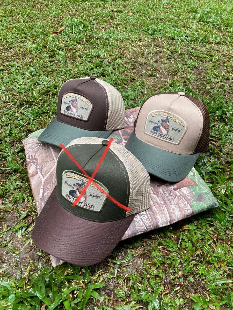 Remember US peeps! I still have some cool raptor caps for you to buy while im here! They would make a great present for someone during the holidays! Just hmu to order one, or several 😬
#RaptorResearch #RaptorRehabilitation