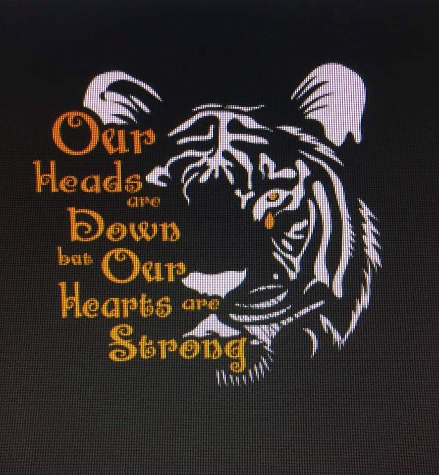 gitarmanNM505's tweet image. #aztecstrong