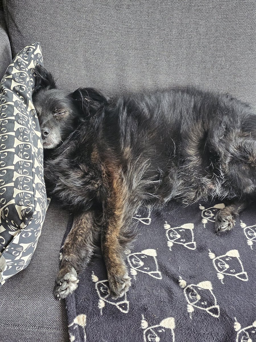 Michael Sporen tweet media