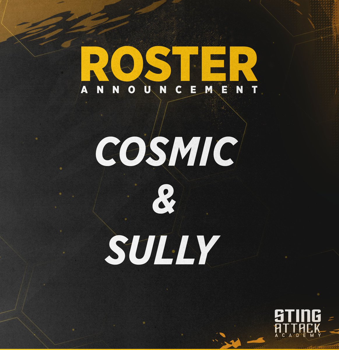 Sting Attack tweet media