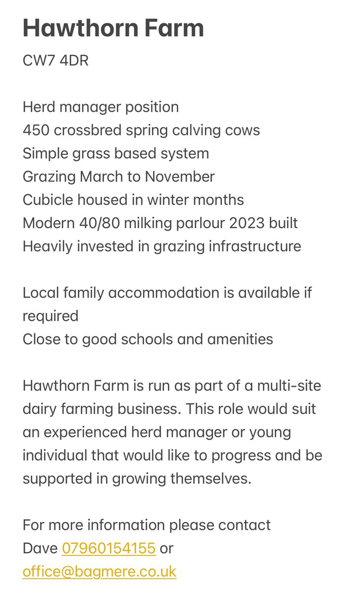 Dave Marrow tweet media