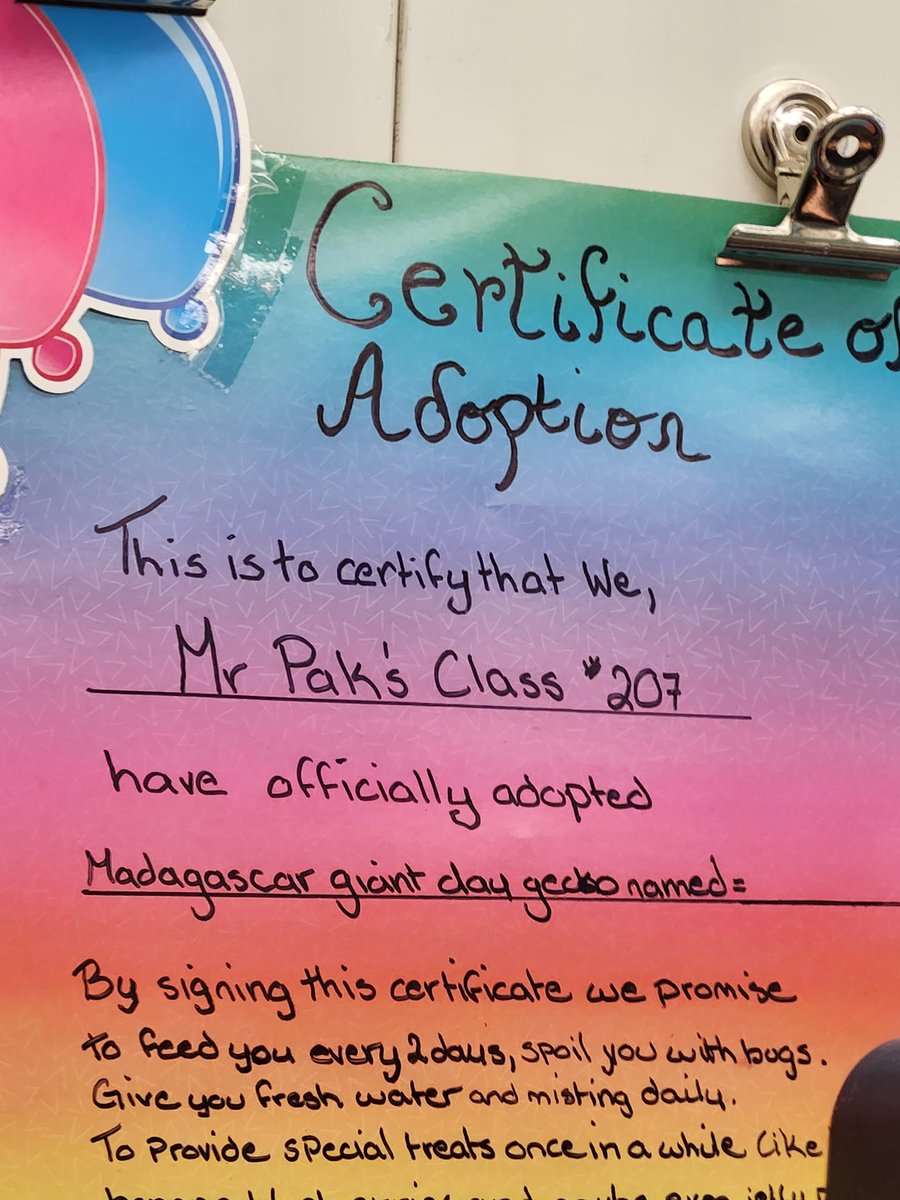 Alkatdsb's tweet photo. A new addition to @AlbionHeights Mr. Pak's Ss adopted a class pet. Thanks to an amazing parent. What would students name them?
#parentaspartners https://t.co/yZ47yTC3CL