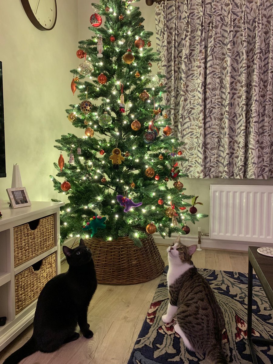 Christmas in the Hawkins Callen household! Fingers cross Sirius and Timmy are well behaved! #cats #Christmas2023