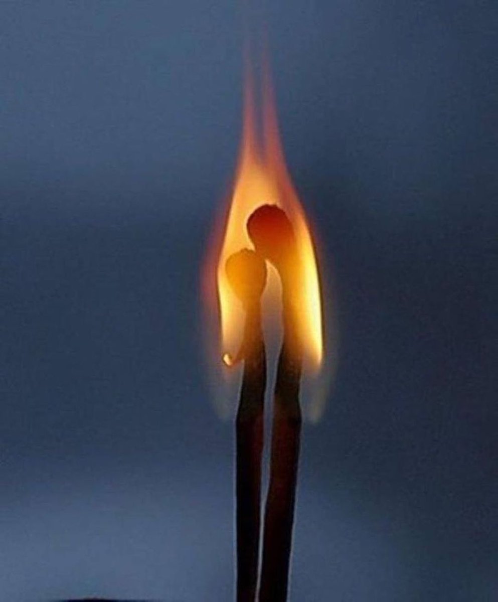 Cultura Inquieta tweet media