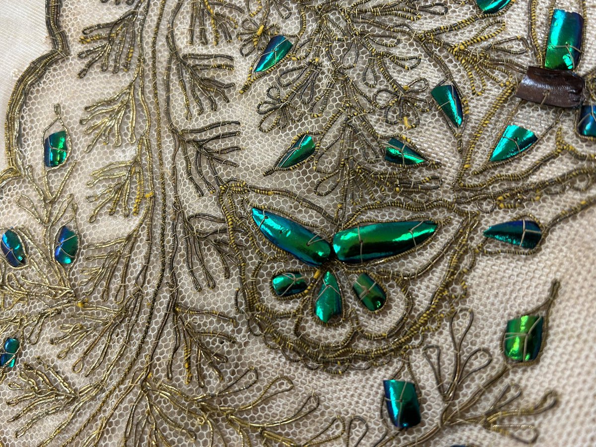 Joel Gibson tweet media