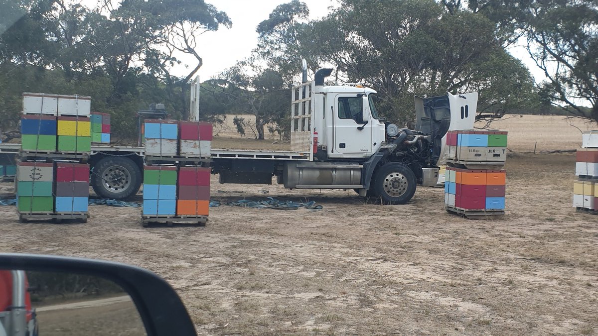 Gavin Lutze (@gavinlutze) on Twitter photo Bugger of a spot for a breakdown,  will take a brave mechanic to work on this Bugger of a spot for a breakdown,  will take a brave mechanic to work on this