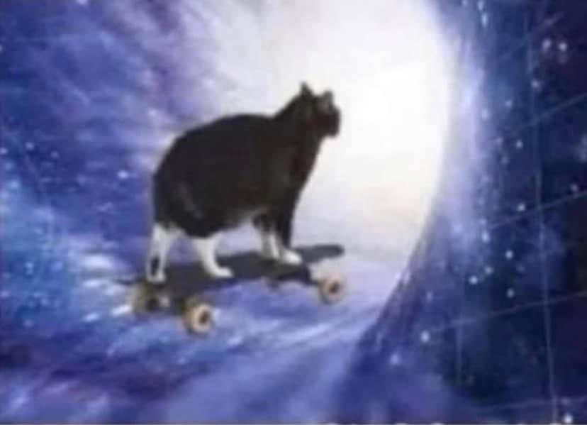 Me when that Church of Latter Day Saints edible hit