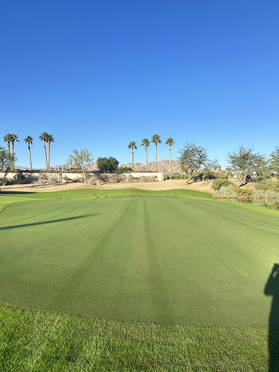 Less than a week from reopening the Greg Norman Course @pgawestagronomy. Love the contrast of overseed next to non-overseed tifeagle greens. Nice work twitterless Aaron Garcia!