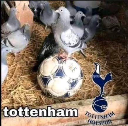 WebonW's tweet photo. @CharlieC_9 https://t.co/8eJmgUdwF7