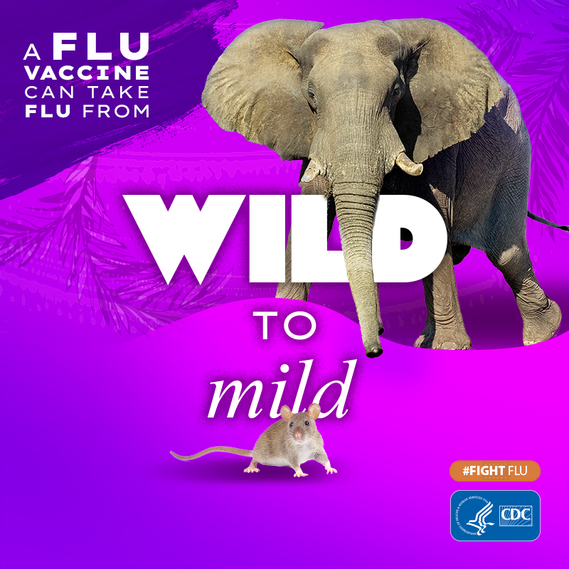 ProjectHealings's tweet photo. Flu can be wild. But a flu vaccine can shield both you and your cub from flu’s more serious symptoms. Ask your health care provider about a flu shot during your pregnancy to protect your baby after birth. #FightFlu #CDC #PublicHealth https://t.co/bzgNT7aBX8 https://t.co/R7MnBmPWe2