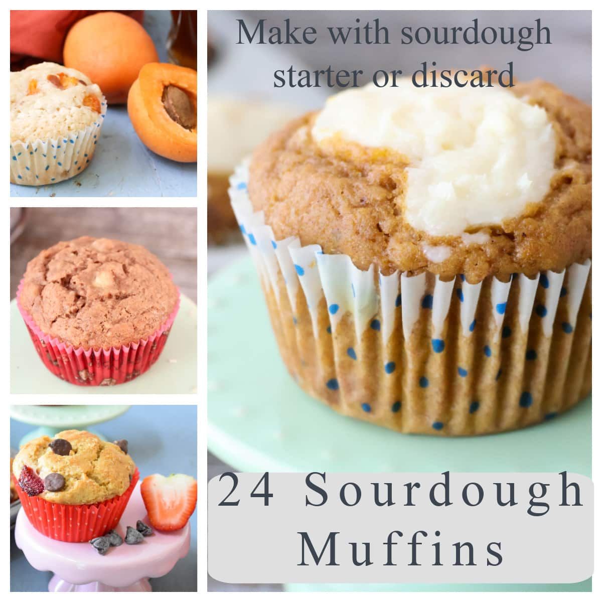 24 Sourdough Muffins - Zesty South Indian Kitchen buff.ly/41c7zI4