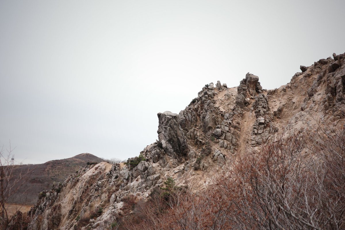 shop_moose's tweet photo. 先日、高島トレイルを歩いたんですが、今年最後の無雪期のハイキングになるかなぁと。
「雪降ったらどうするの？」って言う声も聞こえるんですが、雪のシーズンの山の遊び方って、本当はたくさんあるはずなので、その辺をお店としても色々提案していきたいな、と思っております。

お楽しみに！ https://t.co/rz4RdgAYQm