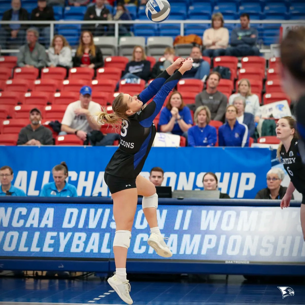 Bentley Athletics tweet media