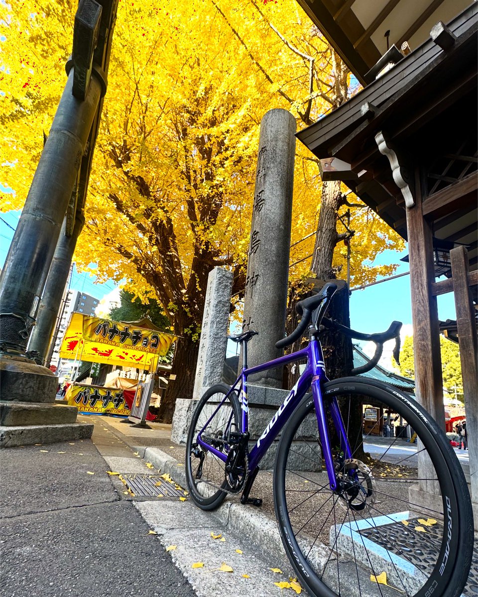 u2bikes's tweet image. こういうのでいい、こういうのがいい。

RIDLEY/HELIUM SLX DISC🇧🇪
クライマー向け超軽量！と謳えるけど、
散々リムロードバイクを乗り込んだ
玄人レーサーが好む、ニュートラルに
扱いやすい純粋なロードバイク。

ただ単純に速く走らせる楽しさがある。
 #U2BIKES #RIDLEYBIKES #HELIUM