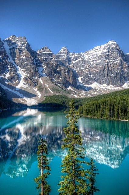 KVajpayaee's tweet photo. @PosiePosie1212 @ivymarina1 @lastmohican40 @PolishRoyalGoat @Alexa17101614 @sheriran95 @GinaJardines @durruthy3331 @ANAGARC01857906 @Saffetahin18 @SAgelkaras @lena_marly @szentandrassym @DineshD40823229 @89BrownSugar @Mone_fb @dobre_magd85146 @vkjha783 @AmajaEdafe @mouden_ab @haroune02556404 @AgnimitraTalap1 @Ron95089431 @ibAR3kKlXSebdoH @HaithamWork @YO39665483 @3_toshiyuki @Alfonso45177686 @MMansourf16 @rpskataria @FatimaSchmitt2 @romeovale2 @kalimullah2 @Seg__Wa9258 @heroldbarton @Alaayous3 @taoufiknasr1 @ManzoorHameed7 @saulastam @FLOWI112 @5ewRDUuC5stdUHD @fryld @papamohsen @Mohamed73923498 @IcelaLaureano @MNoria4 @Mehmet35879586 @ElhadyNibal @vonoppel #Katyayan
Hello ππ€
Dreams are the best part of life.....
If you miss a sleep then you missed a best part of life.
Then go to sleep well....
Good night,
#Banaff #Alberta #Canada https://t.co/djCM365d7B