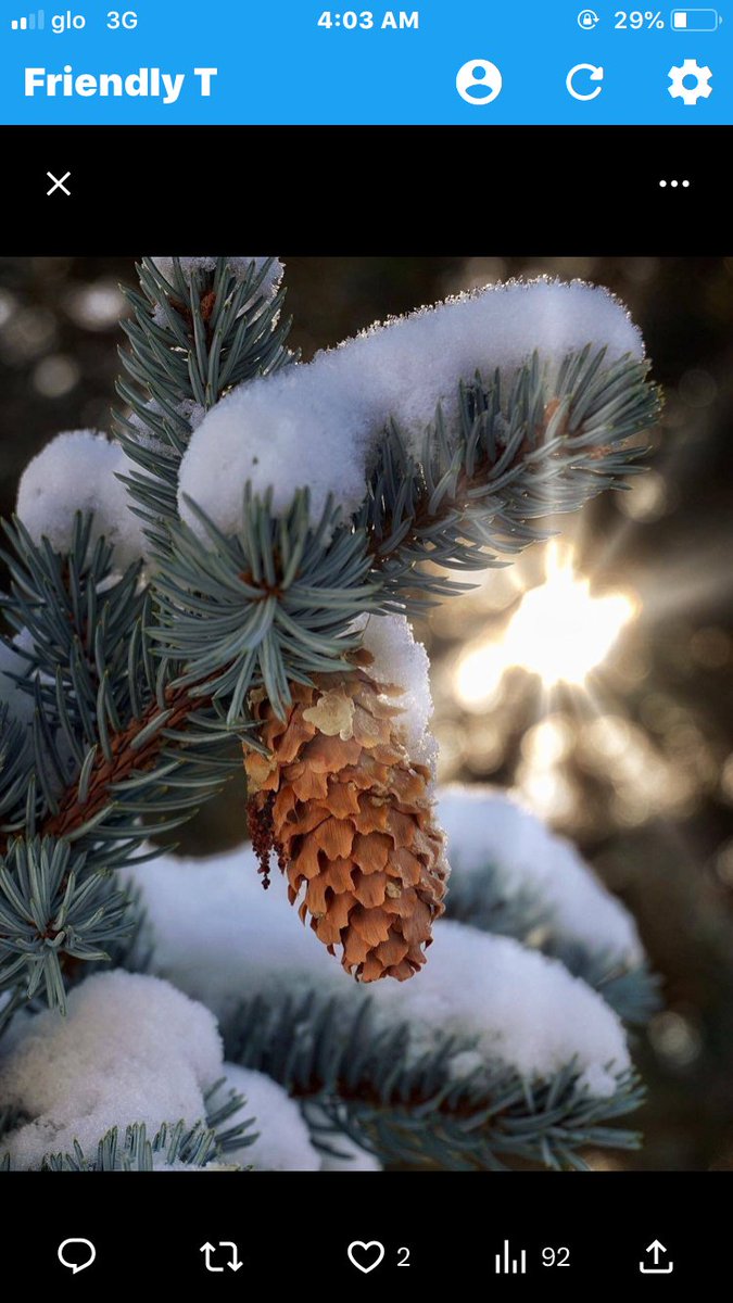 Evidence438109's tweet image. 