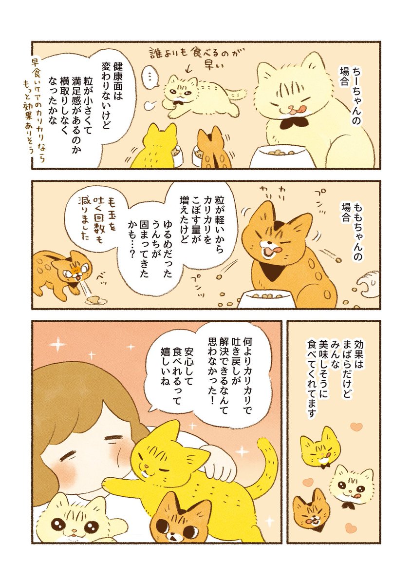 やっちゃんのように『 #AllWell 』を試して食事の吐き戻しが軽減しました!というお声が多くて嬉しいです。 同じような悩みを持つ猫ちゃん、飼い主さんにもっと届きますように🐱✨ 吐き戻し以外にも種類が豊富なのでぜひお試しください!  #PR #ユニ・チャーム #オールウェル 