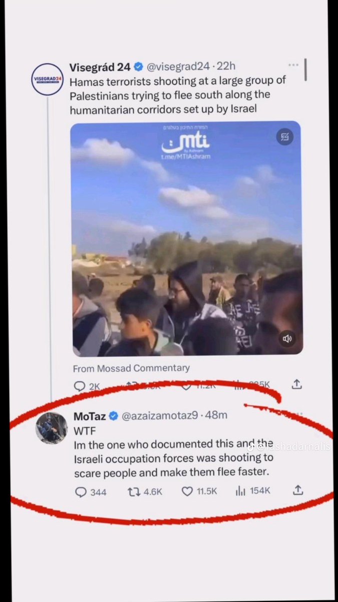 polyester05's tweet image. 