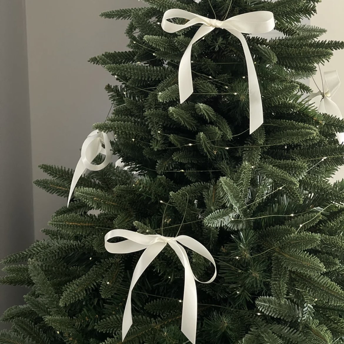 bows on christmas trees ⋆𐙚₊˚⊹🎄♡