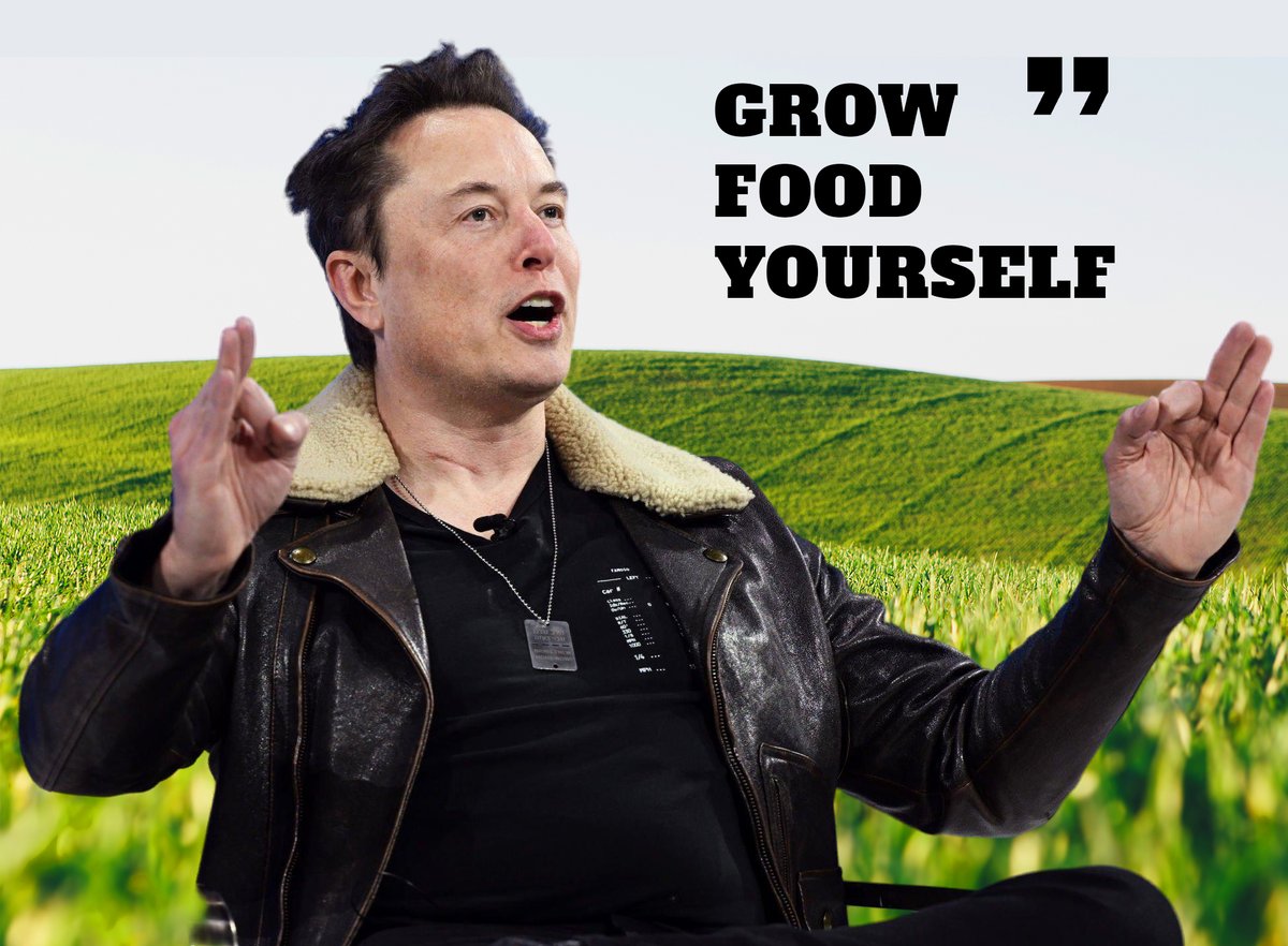 DogeDesigner (@cb_doge) on Twitter photo 