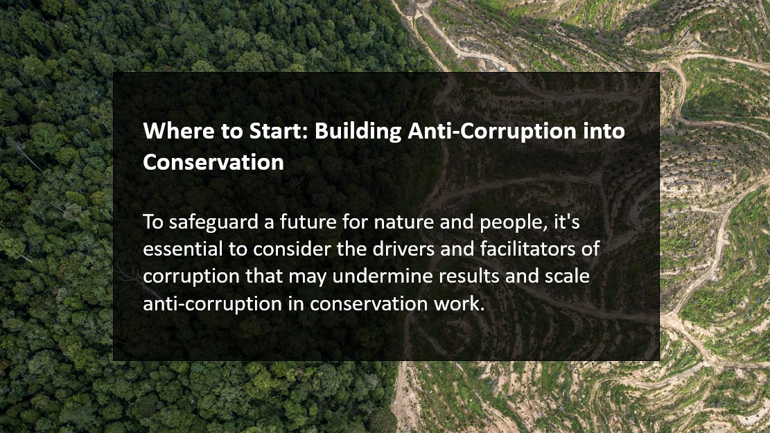 On #IACD Day, we're calling on #conservationists to rise to the challenge to respond to the impacts of #corruption on our objectives. Understand corruption and apply a corruption-informed lens to your programming with our 'Where to Start” guides: worldwildlife.org/pages/tnrc-kno…