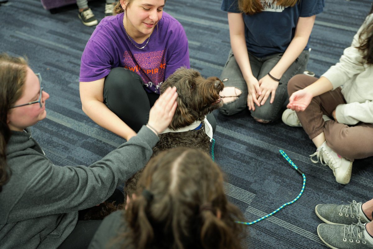 Our good friends from West TN Therapy Dogs paid our students a visit at @UofMLibraries on Study Day! Keys, Trooper, Maverick and Bailey put smiles on many faces 🐶💙

#GoTigersGo