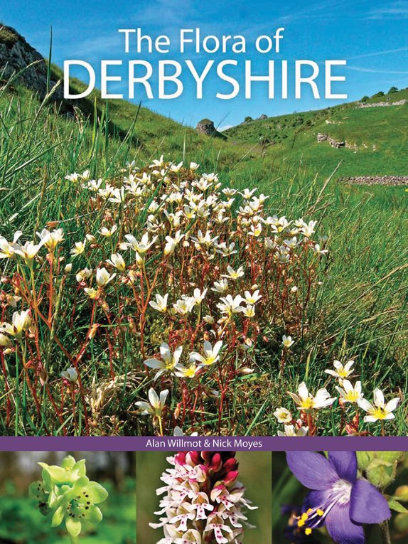 DerbyshireFlora's tweet photo. This December, we're offering our Flora of #Derbyshire at the special price of Β£25 + p&p.
Buy it on eBay, or DM us for direct sales.
https://t.co/VrZjMrHnBY
#PeakDistrict #wildflowerhour #UKbotany #Flora https://t.co/rvdMXFDgTk