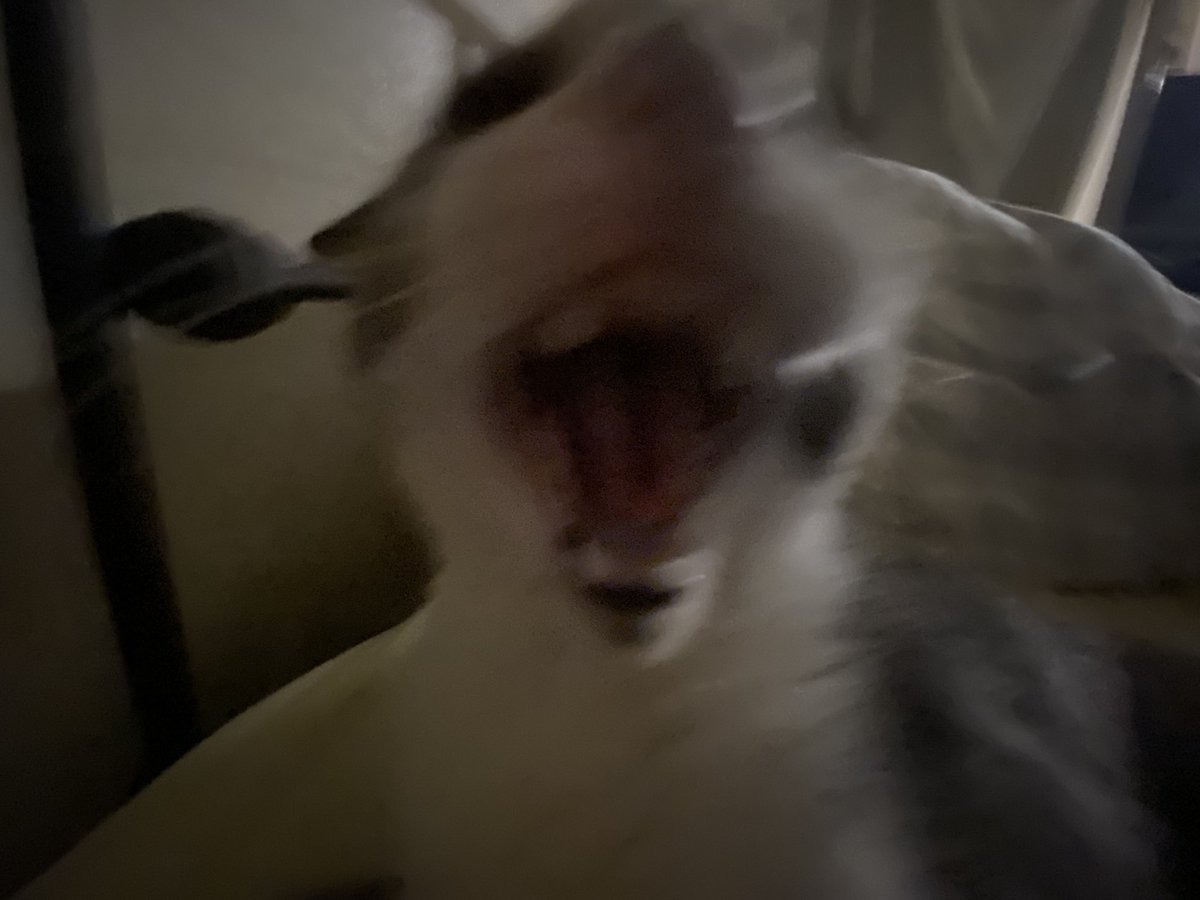 Man ykw fuck Twitter imma go start being happy, later nerds will be back when uhh something idk