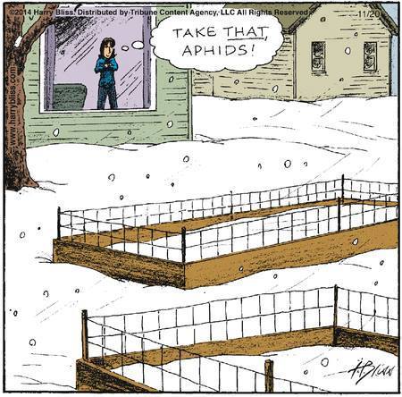 mswitchkraft's tweet photo. cackle~cackle~cackle...for the gardeners... 📷 https://t.co/YoyVwxxmE5