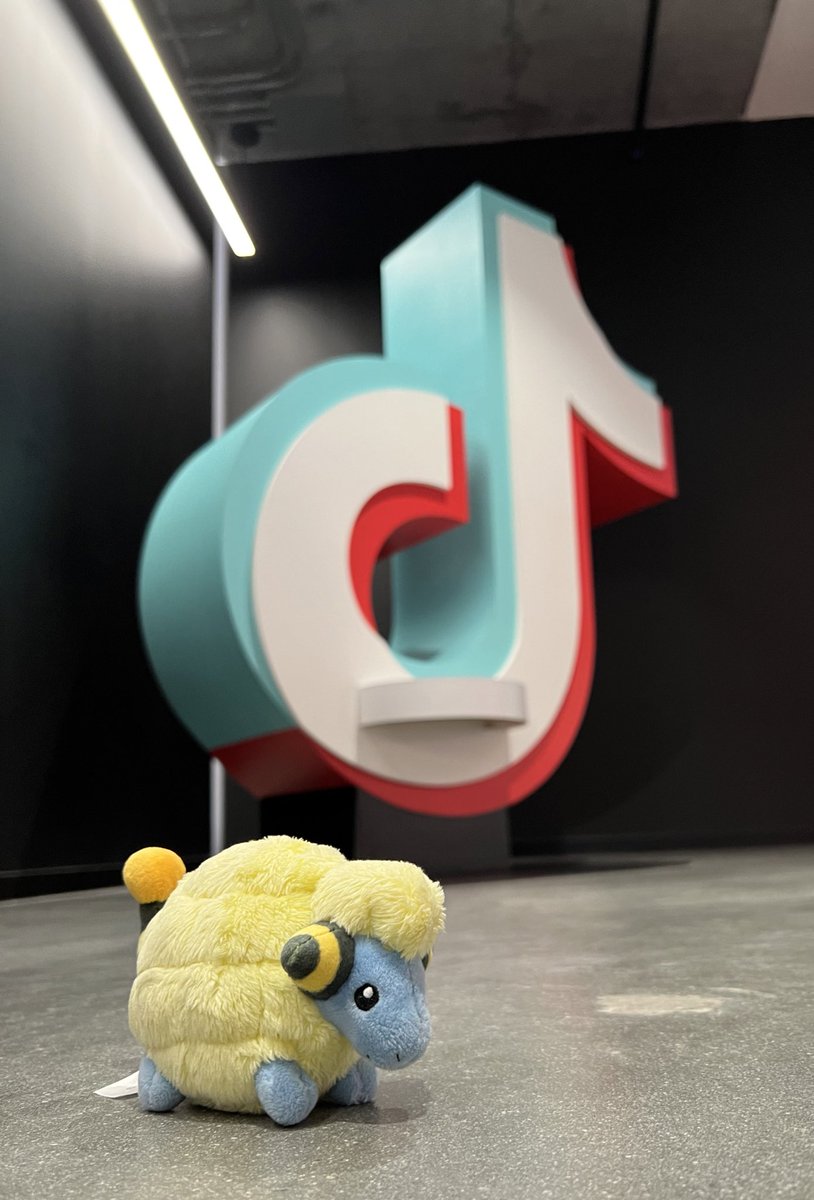 Mareep and I visited the TikTok office today!