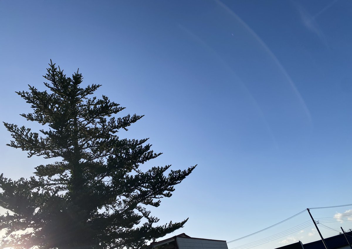 ajidokorosanwa's tweet photo. おはようございます
何となく日差しが温かく感じる朝です☀️
いよいよ来週は1年越しの #推し のライブ
昨夜、チケットが発券され気分も上がってきました↗️
当日までの何とも言えない舞い上がる気持ちがいいんですよね〜😌
さっ!今日も頑張る💪🏻
皆様良い1日に✨
#onefifty #武道館 #イマソラ https://t.co/f4mbfQ99Pu