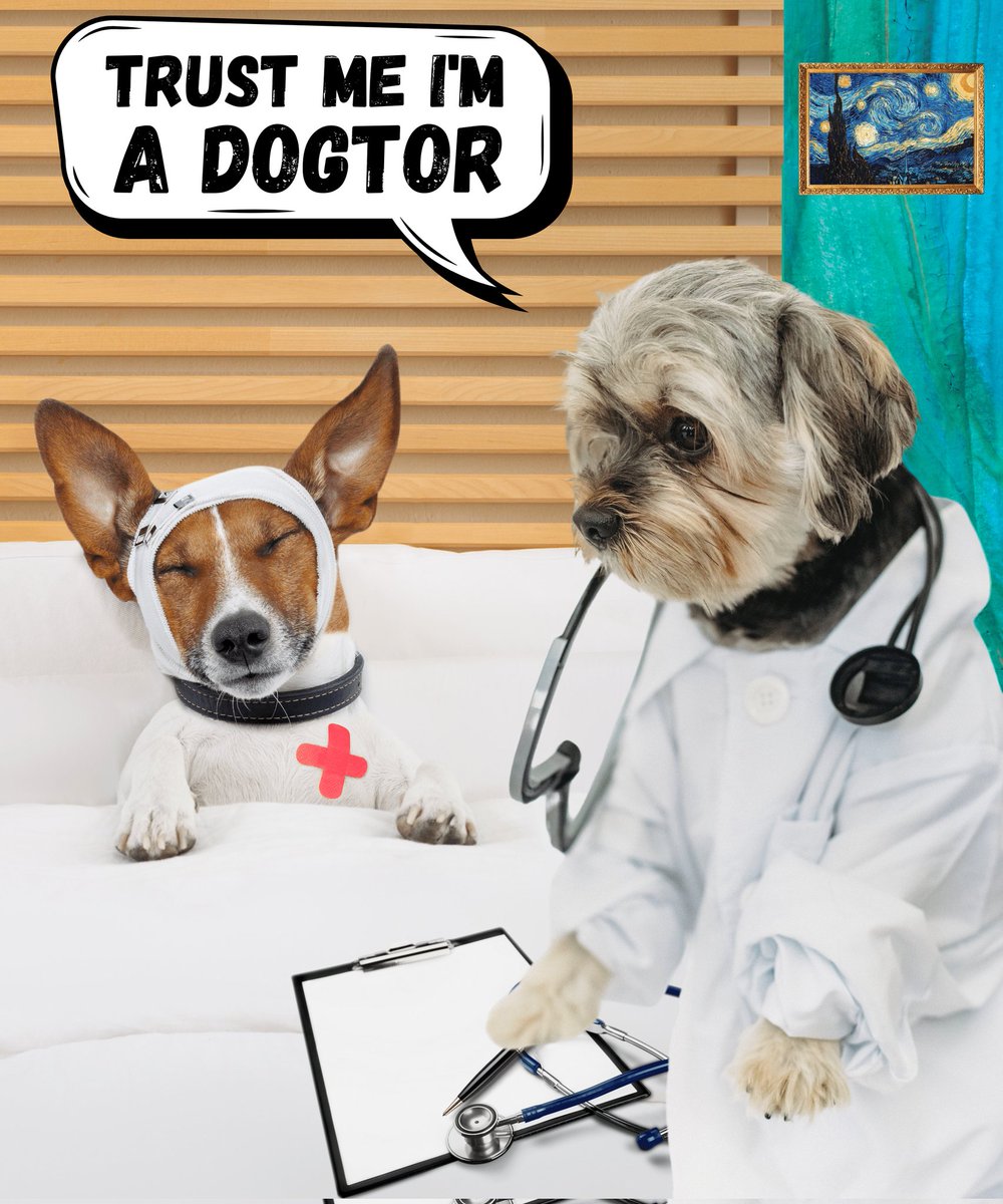 awesometee66's tweet photo. DOGTOR https://t.co/ePF0wSQo0q