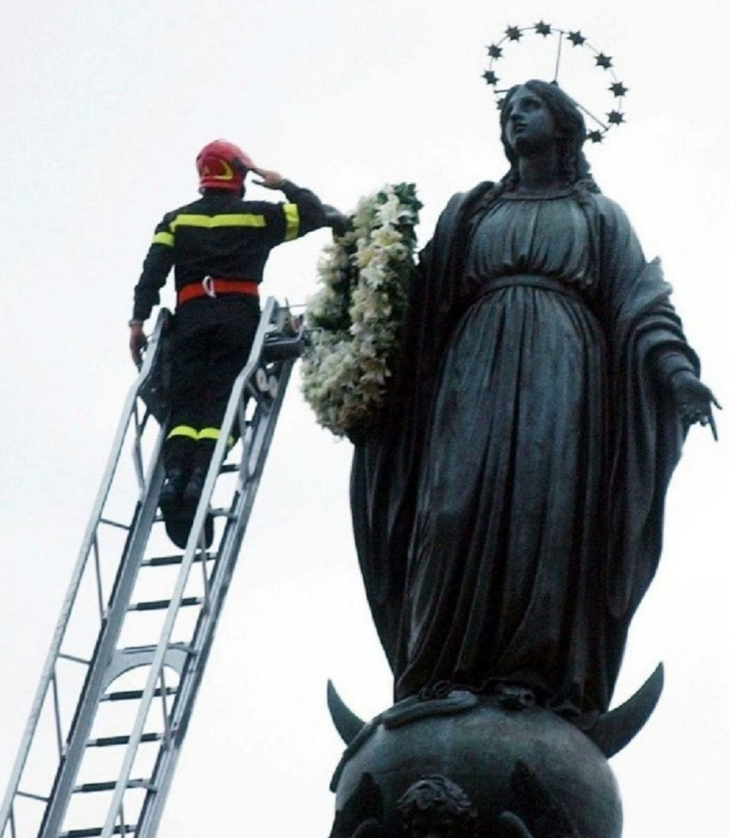Viva La Inmaculada Concepción De La Bienaventurada Siempre Virgen María