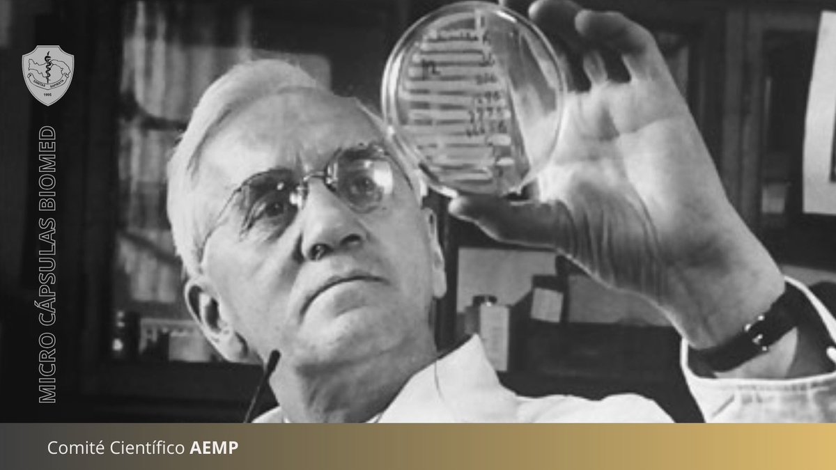 En 1928 Alexander Fleming hizo crecer un moho en un cultivo, de forma casual, y descubrió que producía una sustancia que mataba a varias bacterias que provocaban enfermedades. Había dado con la penicilina.
#ThrowbackThursday