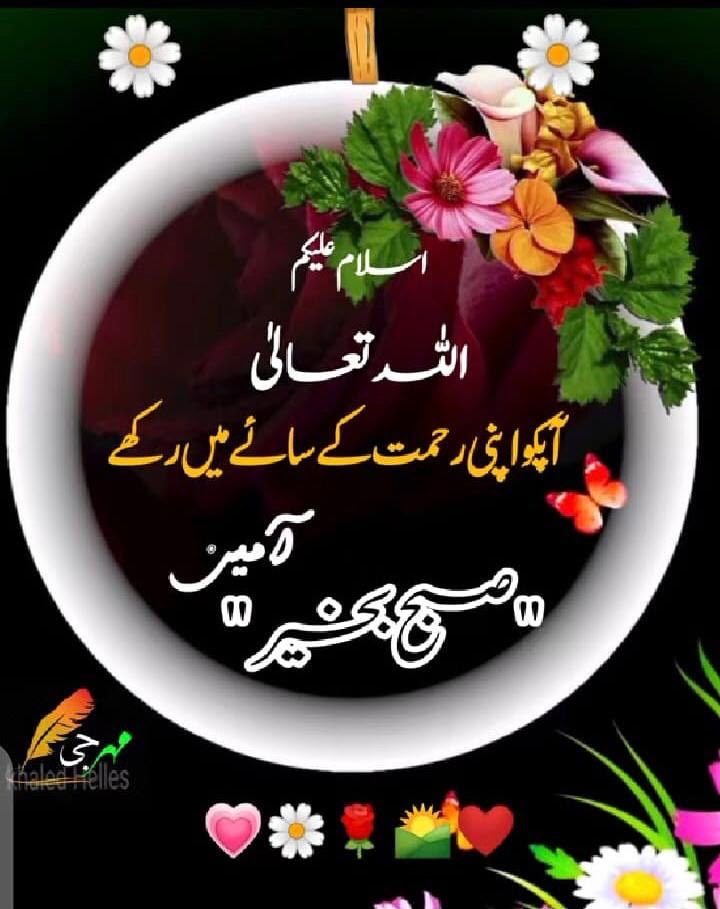 Malik Farook (@malikfaroo41892) on Twitter photo 