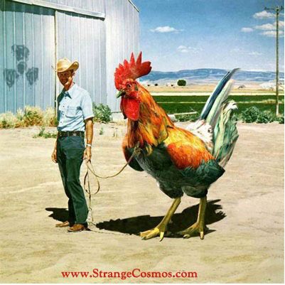 <a href="/Diane_Jackson7/">Diane Jackson🇺🇸🦅🇺🇸</a> She wanted me to send her a picture of my big cock so I sent her this one! She never responded back? I don’t guess she liked my big cock?