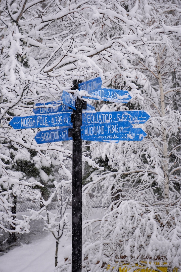 Well, the snow dances worked! 🕺❄️ We're looking at 37cm at the summit over 36 hours, and 25cm in the village over the past 24 hours! Translation: Grab your hear and get up here, it's going to be opening day powder laps! See Opening Day terrain here: bit.ly/3t4BKo7