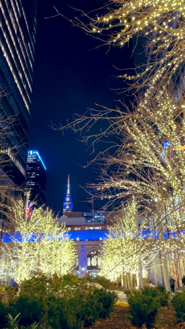 NYC lighting it up for Hanukkah! photocred: my daughter #1 🥰