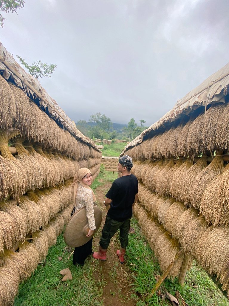 tavva🍉 𝕏 tweet media