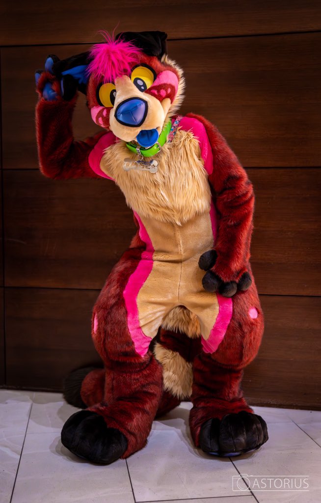 sampandog's tweet photo. Are my ears ringing?! 🔔 
#furfest
📸:@Astorius_Wolf https://t.co/tHIVAynCss