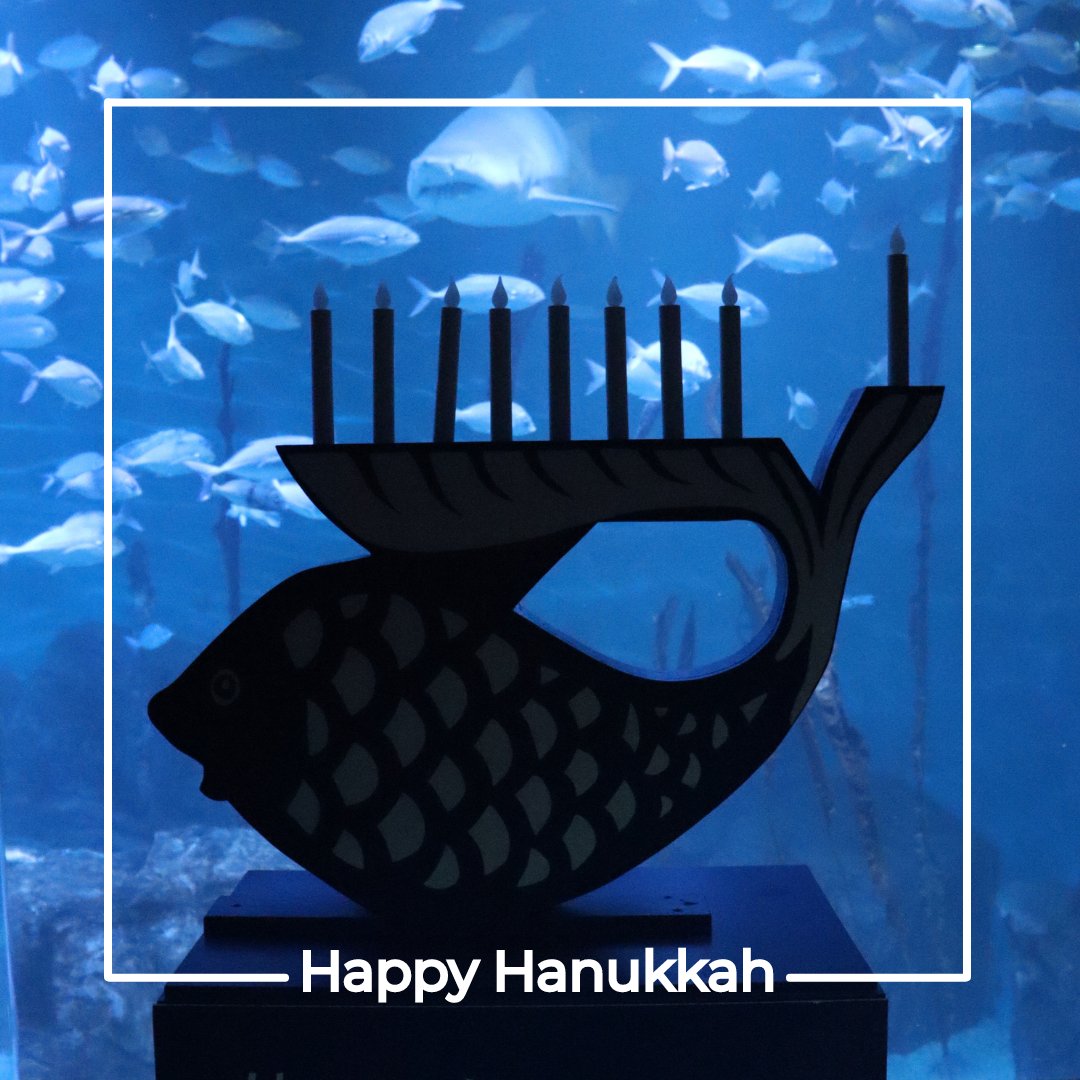 Happy Hanukkah from The Maritime Aquarium!