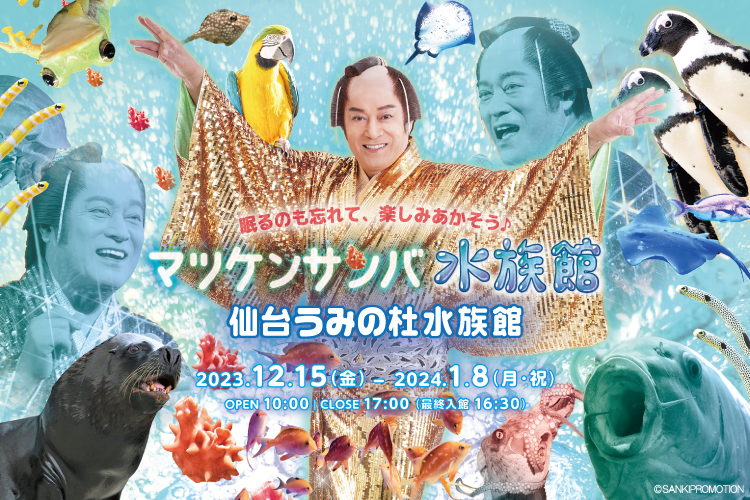 sendaiuminomori's tweet photo. 【仙台うみの杜水族館】
12/15（金）～1/8（月・祝）開催
「マツケンサンバ水族館」

\ イベント詳細情報が解禁 /

詳細情報はこちら▼
https://t.co/BE7z3hXUai

#s_uminomori https://t.co/rQeVsXY9bJ