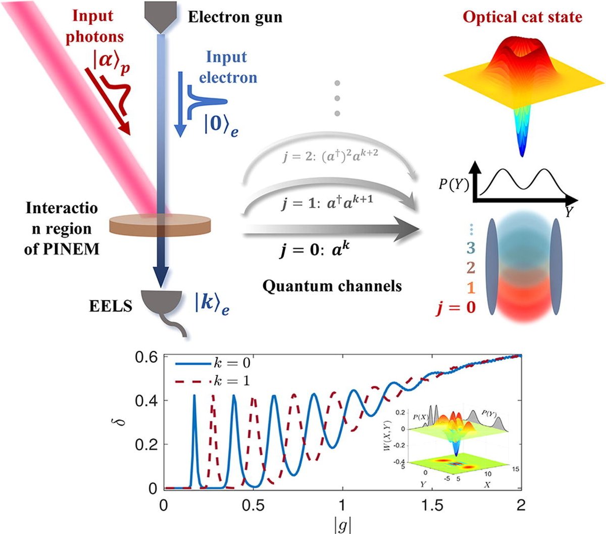 Sci_Bull's tweet image. Generating optical cat states via quantum interference of multi-path free-electron photons interactions doi.org/10.1016/j.scib…
Yunquan Liu and Qiongyi He from Peking University @PKU1898 @ElsevierPhysics @physorg_com #QuantumInterference