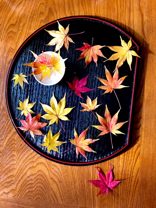 「autumn maple leaf」 illustration images(Latest)