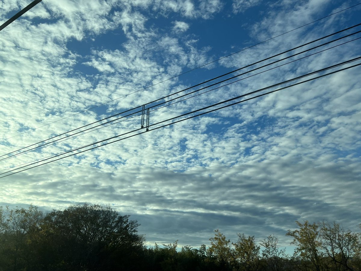 おはようございます☀️