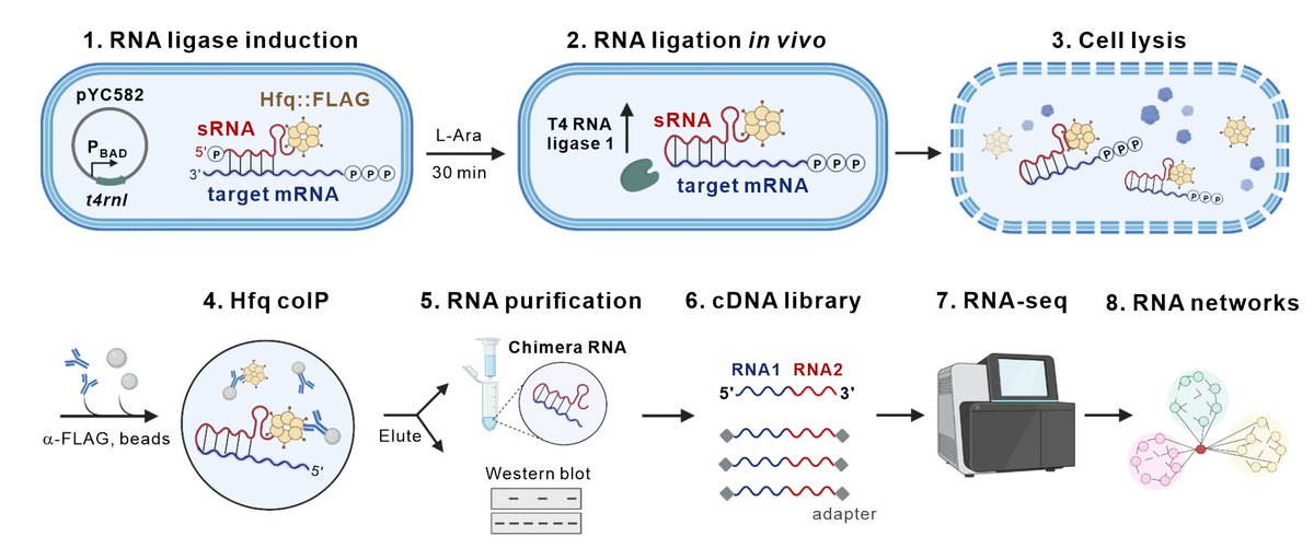 Yanjie Chao tweet media